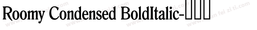 Roomy Condensed BoldItalic字体转换